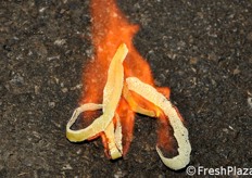 Prendono fuoco in un attimo!