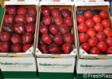 Le mele in esposizione presso lo stand dei vivai Huber Brugger.