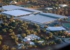 A partire dai primissimi anni 2000, l'azienda Ortoflora ha iniziato un nuovo processo di riconversione aziendale, aprendosi alla produzione di piante ed erbe aromatiche fresche e secche. Oggi Ortoflora si estende su una superficie di 15 ha di cui 7 coperti da serre in ferro-vetro e in ferro-plastica, mentre i restanti sono dedicati a colture a terra e in vaso a pieno campo, avvalendosi delle piu' moderne tecnologie e tecniche di coltivazione.