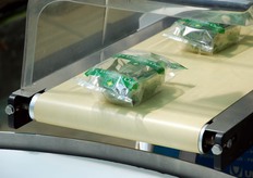 "Confezionate a marchio registrato "Le Erbe dello Chef", le aromatiche di Ortoflora sono disponibili per l'intero arco dell'anno in diverse tipologie di packaging: dalla vaschetta flowpack termosaldata di diversa grammatura (25, 30, 100 e 150 gr) fino al box da 1 Kg o a cassette del peso medio di 2,5 â€“ 3,5 Kg, destinate al settore del catering e ristorazione. Ortoflora e' fornitore ufficiale, oltre che dei mercati locali, anche di diversi gruppi della GDO nazionale ed estera, soprattutto catene tedesche e inglesi."