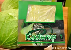 La soluzione e' il nuovo concept Bejo 'Coolwrap', una foglia di cavolo quadrata, con un sapore delicato, realizzata con una varieta' di cavolo piatto bianco, appositamente selezionata. Queste foglie possono essere utilizzate, per esempio, come involucro per il sushi o come parte di un panino tutta salute.