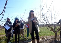 Edwige Remy dei vivai Escande (Francia), nel corso delle giornate tecniche organizzate in collaborazione con il COVIL, ha descritto le principali caratteristiche delle varieta' di albicocco del gruppo francese.