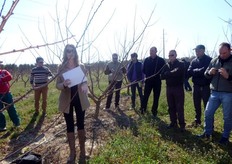 "Tsunami®", Spring Blush®, Pinkcot®, Big Red®, afferma Edwige, hanno bisogno di varieta' impollinatrici. "Kioto*cov" e Banzai® sono varieta' autofertili."