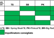 Tabella di compatibilita' delle varieta' del gruppo Escande. Rettangolo verde la varieta' di impollinatore consigliata.