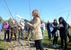 Come si deduce dalla tabella di compatibilita', precisa Edwige Remy, tutte le varieta' del gruppo Escande autosterili sono tra loro compatibili.