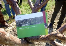 La Koppert Biological System e' un'azienda olandese leader nella produzione di insetti impiegati in agricoltura per la lotta biologica e per l'impollinazione.