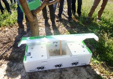 "Per ogni "TRIPOL" il numero di bombi operaie varia da 350-400."