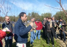 Afferma Pallino che il range ottimale di temperatura esterna per un buon rendimento di lavoro dei bombi e' compreso tra 15 e 25 °C. I bombi sono efficienti anche in giorni nuvolosi, le api sono meno attive ad intensita' luminose piu' basse.