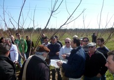 Molti i fattori di maggiore efficienza dei bombi rispetto alle api, continua a sottolineare Pallino. I bombi eseguono un'impollinazione piu' accurata poiche' vanno principalmente alla ricerca di polline a differenza delle api che prediligono principalmente il nettare.