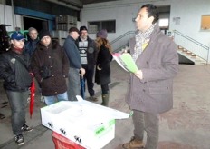 I bombi, durante la bottinatura, preferiscono spostarsi da un fiore di una pianta a quello di un'altra favorendo il trasferimento del polline.