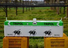Il contenitore TRIPOL deve essere posto su un supporto almeno a 50 cm dal suolo per evitare l'invasione delle formiche, principali nemici dei bombi.