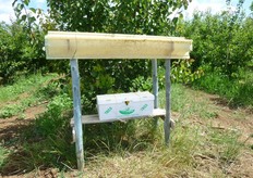 Occorre posizionare l'arnia in un posto assolato durante la primavera e all'ombra durante l'estate.