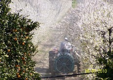 I fitofarmaci possono causare intossicazioni ai bombi sia direttamente, per contatto, sia indirettamente nel momento in cui gli insetti pronubi bottinano fiori di piante trattate con insetticidi sistemici. Per conoscere quali sono i principi attivi dannosi e i giorni di carenza, dal trattamento all'introduzione delle arnie nel frutteto, si puo' consultare il sito www.koppert.com (alla pagina www.koppert.mobi/en/side_effects/).