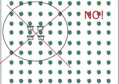 Non e' consigliabile raggruppare le arnie in un solo posto nel frutteto, si rischierebbe di avere piante non visitate dai bombi.