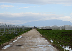 Nel 2012 e' stata avviata la costruzione di una nuova azienda agricola, estesa su 50 ettari in tunnel.