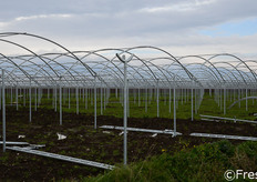 Nuovi tunnel in costruzione.