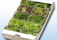 Una confezione mista di baby leaf Euro.Com.