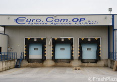 Euro.Com ha completamente rinnovato lo stabilimento di lavorazione e confezionamento, che si estende su 3.000 metri quadrati, con un'area dedicata allo stoccaggio e al controllo sulle materie prime e un'altra dedicata al confezionamento dei prodotti non lavati (I gamma). In foto: gli attracchi per la merce in ingresso e in uscita.