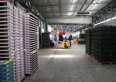 Una vista interna del magazzino.