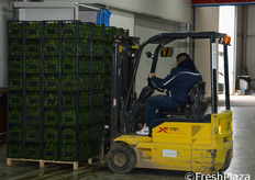 Movimentazione pallet.