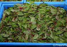 Qui e nelle foto seguenti: alcune casse di materia prima.