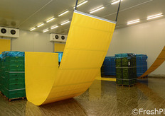 Le nuove celle hanno una dimensione di circa 400 metri quadrati e una capacita' di contenimento di circa 200 pedane.