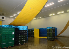 Il sistema di raffreddamento sotto tunnel ad aria fredda forzata.