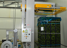 Macchina reggiatrice per il fissaggio dei pallet.