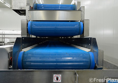 Dettaglio dei nastri vibranti del macchinario per l'eliminazione dell'acqua in eccesso dagli sfalciati. La materia prima viene trasportata dai nastri, che si muovono a diverse velocita' e che, vibrando, distribuiscono uniformemente il prodotto per un'asciugatura ottimale e delicata, preferibile rispetto alle centrifughe.