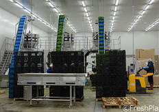 Nastri verticali per il trasporto della materia prima alle bilance multitesta, collocate sul soppalco.