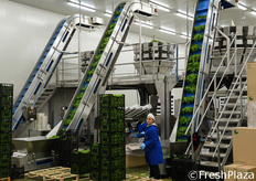 Operazioni di carico della merce sui nastri trasportatori.