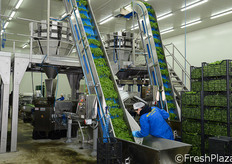 Le operatrici effettuano anche in questa fase un controllo ottico della merce.