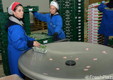 Addette all'imballaggio in cassette.