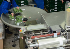 Le cassette vengono poi impilate per la formazione dei pallet.