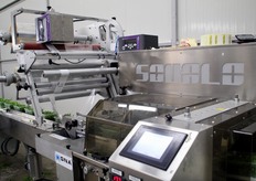 Linea di confezionamento del prodotto biologico.