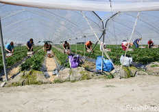 "La professionalita' del personale - dichiara Carmela Suriano - e' uno degli elementi imprescindibili per un risultato di qualita'. Noi abbiamo alcune lavoratrici che sono con la nostra azienda da ben 15 anni e che trasferiscono le proprie competenze agli altri."