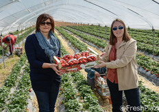 Carmela Suriano e Rossella Gigli con una cassetta di fragole appena raccolte.