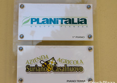 Carmela Suriano e' anche direttore generale di Planitalia, costola italiana della spagnola Planasa, leader europeo nella ricerca e produzione di varieta' di fragole, piccoli frutti, pesche, nettarine e susine.