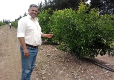 Consente di ottimizzare l'apporto dell'acqua, degli elementi nutritivi, dei prodotti ammendanti, correttivi, disinfettanti e disinfestanti.