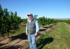 "Gerardo Boccuzzi (in foto), agrumicoltore di Mottola (TA), nel giovane impianto di clementine varieta' "Tardivo" clone Catania, realizzato su terreno "baulato"."
