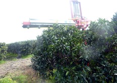 La potatura meccanica, intesa come impiego di macchine agevolatrici (barre falcianti, attrezzi da taglio pneumatici etc.), puo' trovare diffusione nelle aziende agrumicole poiche' permette di ridurre i tempi di esecuzione, migliorare la qualita' del lavoro, rendere piu' snelle le operazioni e abbattere i costi.