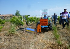 Per evitare effetti fitotossici degli erbicidi ad azione sistemica (es. Glifosate) si ricorrere alle schermature.