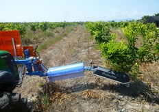 "Sulla "baula" la lotta alle erbe infestanti vieni praticata attraverso la somministrazione di erbicidi con speciali barre di distribuzione, dotate di bracci snodati."