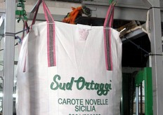 "Confezionamento carote in big bag presso la Sud Ortaggi. "Inizio la mia stagione di raccolta con Napa e continuo fino al 10 aprile - afferma il Signor Giuseppe Adamo, titolare della Sud Ortaggi - Di Napa apprezzo particolarmente la foglia robusta, il colore intenso e la precocita', che si confermano ormai da alcuni anni di coltivazione."