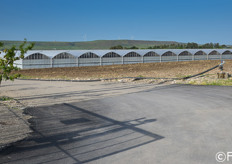 Orto Serre e' una societa' agricola specializzata nella coltivazione di pomodoro ciliegino per la raccolta a grappolo. Sita in Basilicata, a San Nicola di Melfi (PZ), l'azienda si estende su una superficie di 60.000 mq. di cui 30.000 mq in coltura protetta.