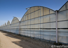 L'azienda ha effettuato importanti investimenti in impianti e attrezzaturee. Le serre sono di costruzione italiana, con tetti apribili, altezza al colmo di 5,75 metri e di 3,50 metri in gronda.