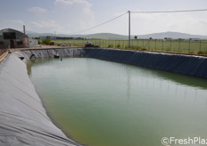 Parte del fabbisogno idrico dell'azienda e' fornito da due bacini di raccolta delle acque piovane, uno da 2.500 metri cubi (qui in foto)...