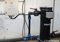 Grazie al sistema danese di ionizzazione Aqua-Hort, l'azienda procede infine alla sanificazione delle acque irrigue, liberandole da ogni eventuale presenza di alghe, funghi e batteri.
