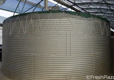 Le acque purificate, che alimentano il sistema di fertirrigazione delle serre, vengono raccolte in questi bacini.