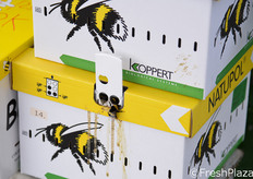 Il ciclo produttivo e' gestito secondo criteri di lotta biologica integrata; anche l'impollinazione avviene in modo naturale con utilizzo di arnie di bombi che migliorano la qualita' e la genuinita' dei frutti.